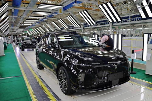 嵐圖汽車雙工廠火力全開，單日產能突破800輛，加速布局汽車市場